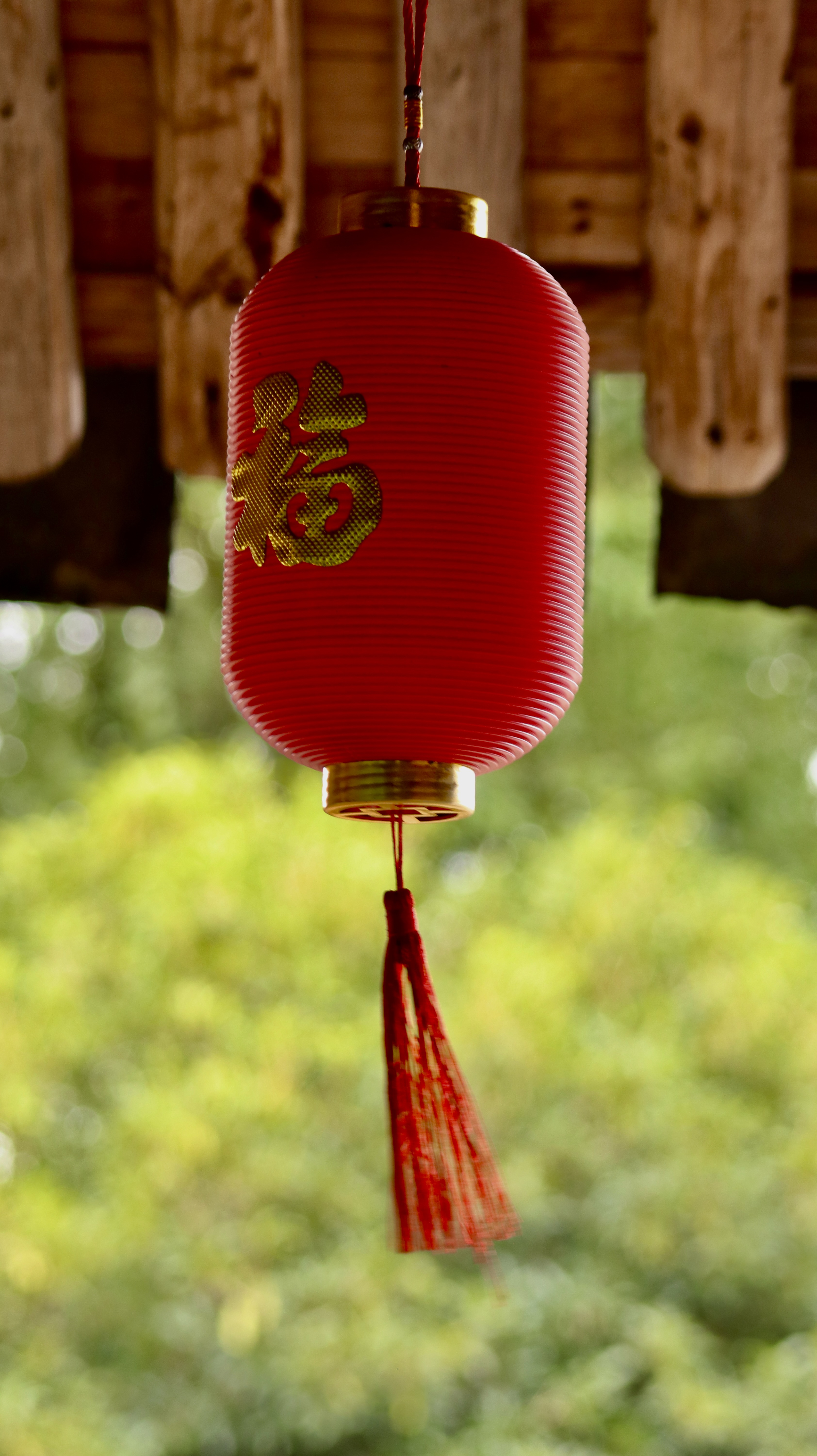 万籁俱寂，我想听更多世界的声音