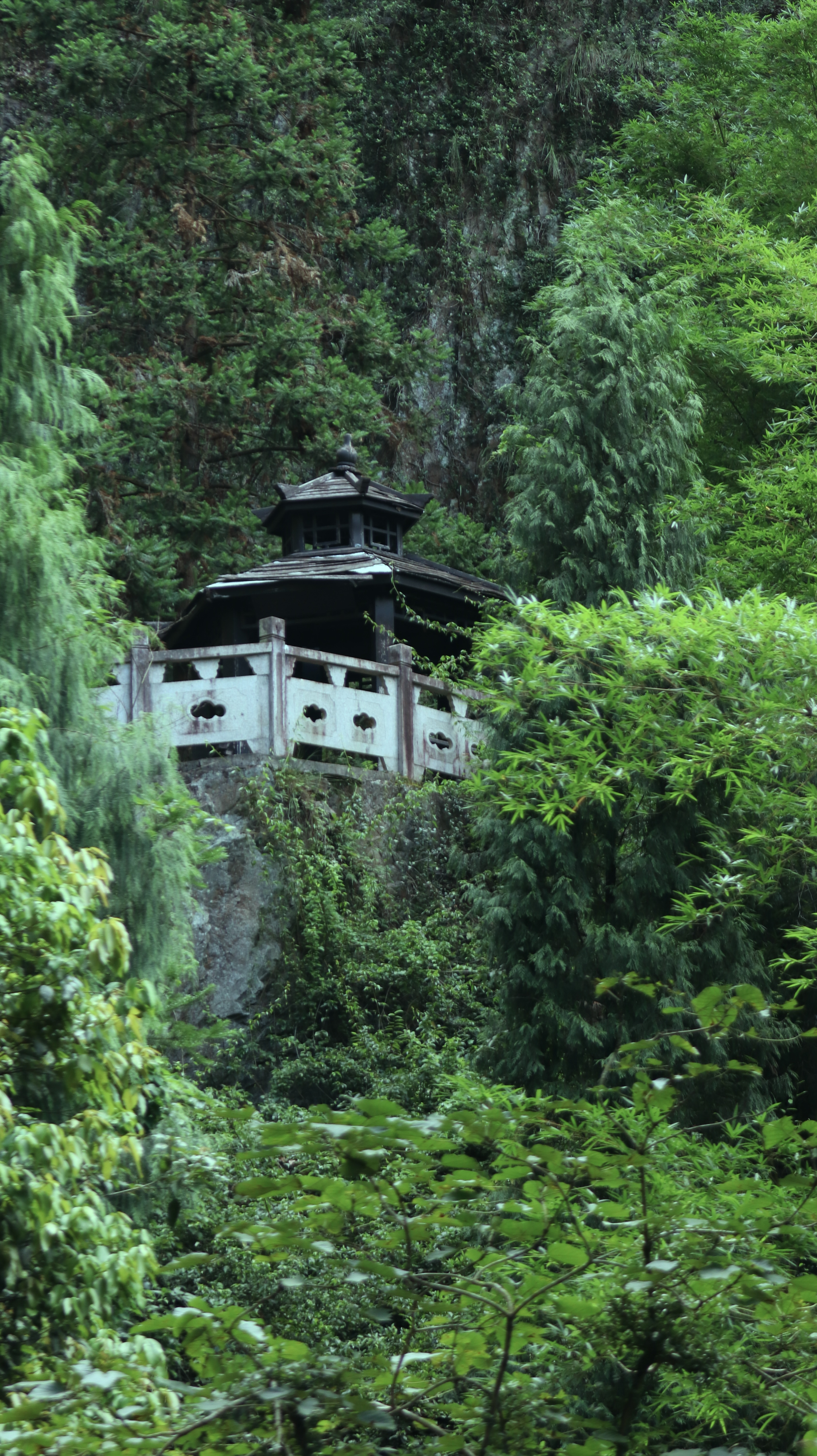 山后风景山前欣赏，大摇大摆