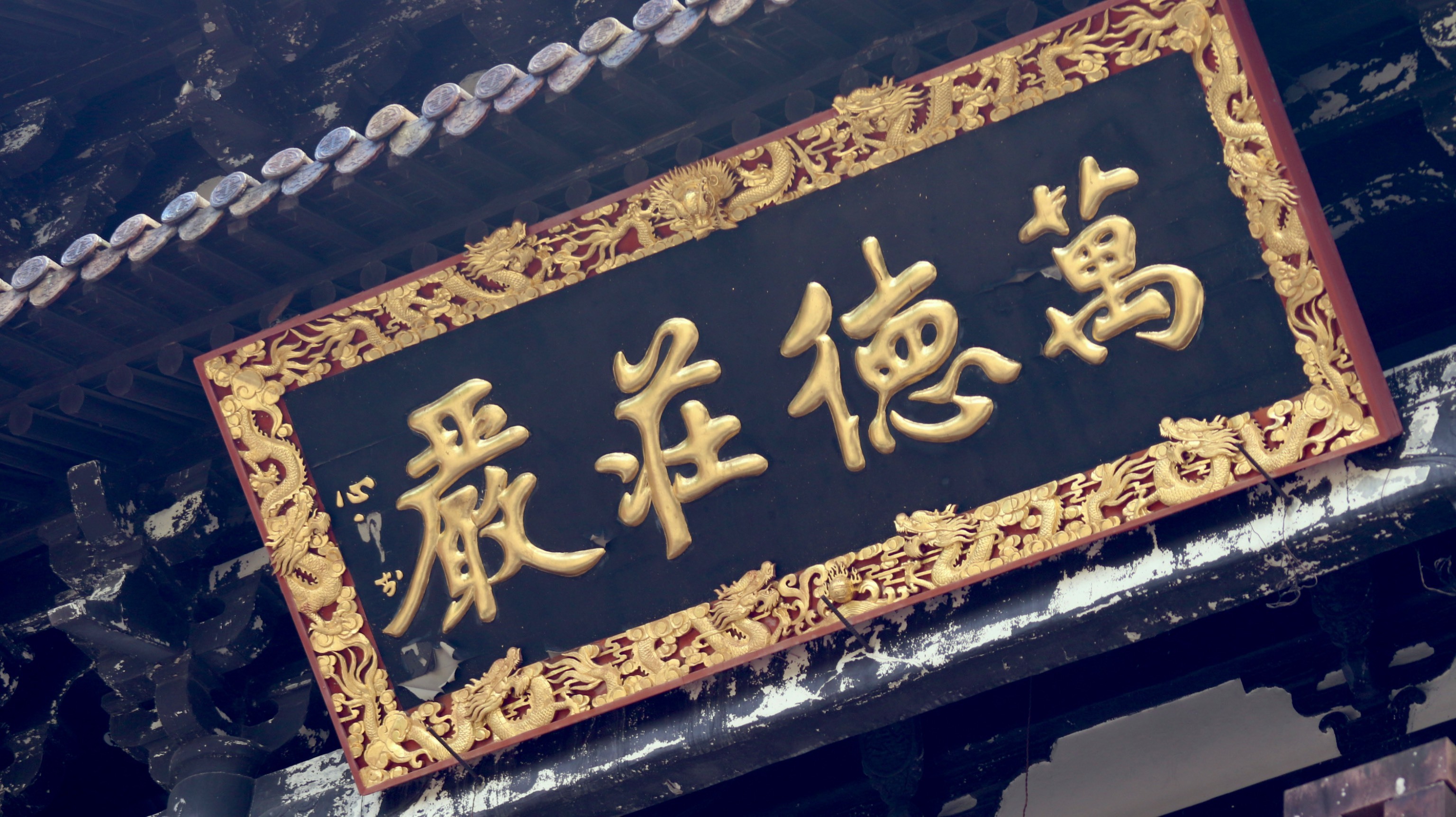 寺院中的荷花